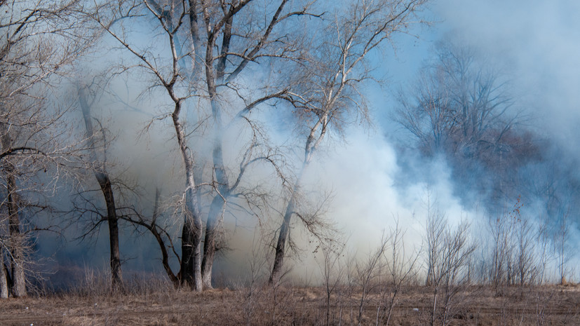 Рослесхоз: в Забайкалье ввели режим ЧС из-за лесных пожаров