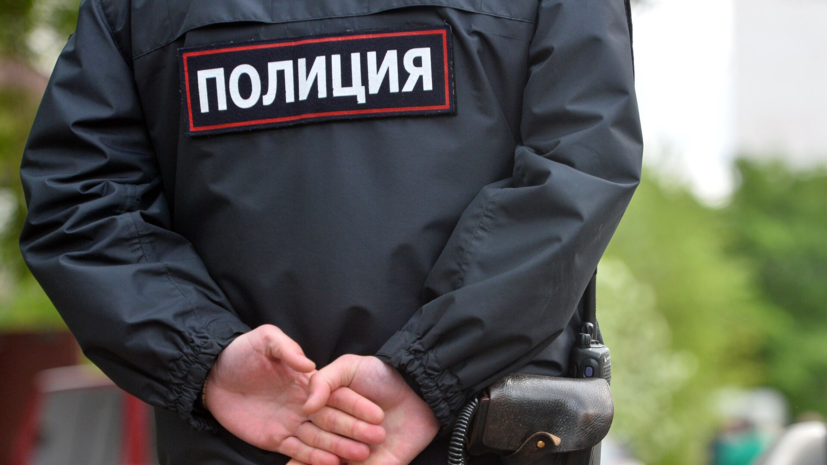 После обнаружения тел животных в квартире в Нижнем Новгороде возбуждено дело