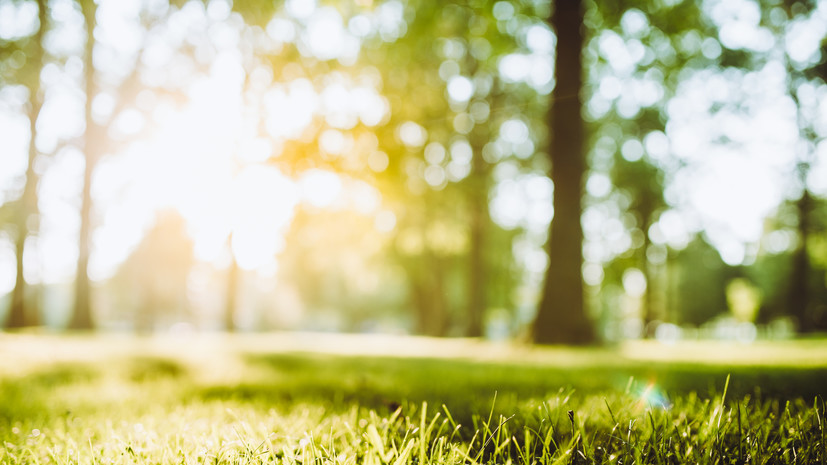 В Курганской области благоустроят 1,5 тысячи парков и дворов за семь лет