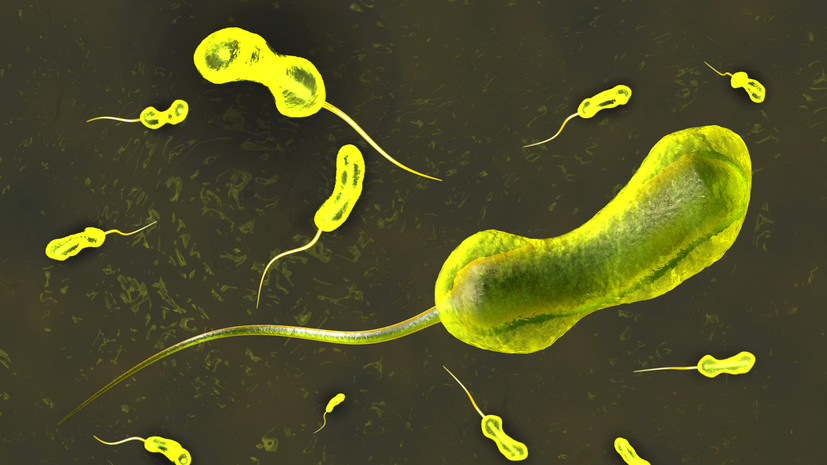 Иммунолог Жемчугов: холерный вибрион мгновенно гибнет в кислой среде