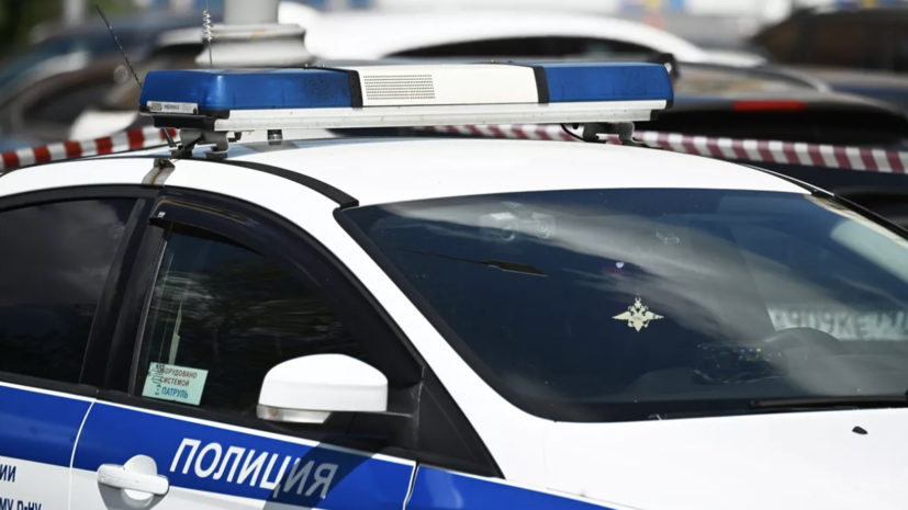 Полиция установила женщину, которая подожгла сухостой в Домодедово