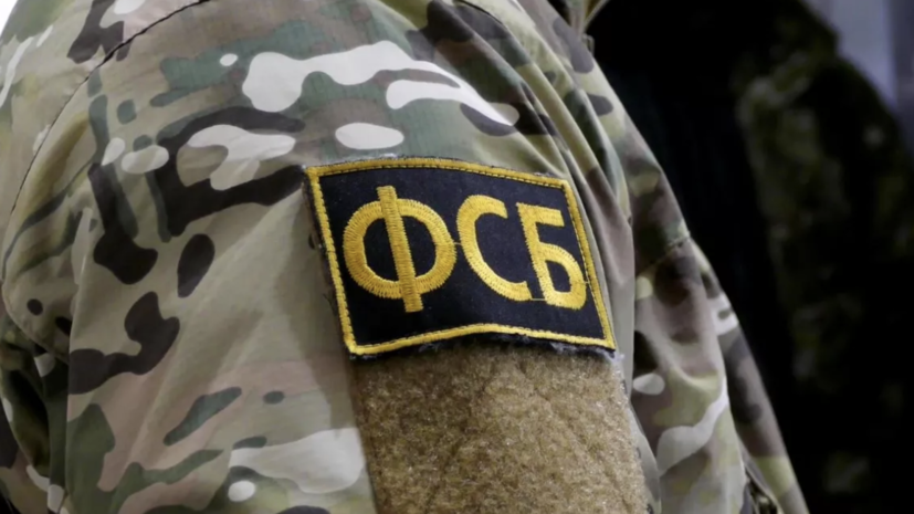 ФСБ опубликовала видео задержания и допроса румына, передававшего данные Киеву