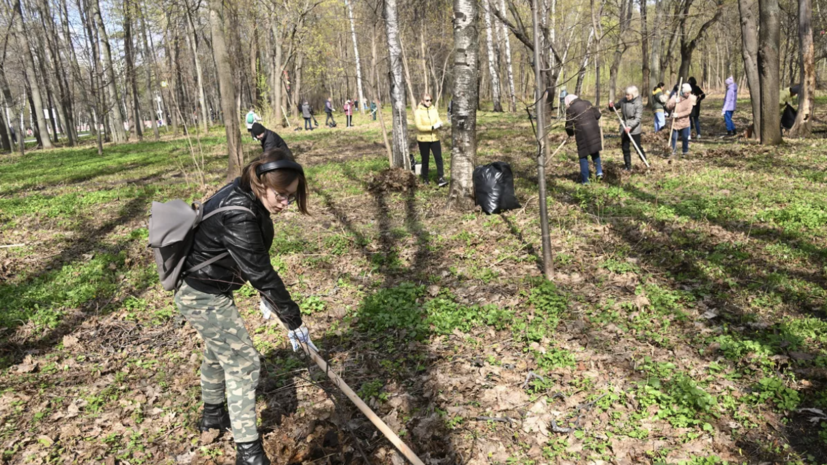 Нижегородская область присоединится к Всероссийскому субботнику 26 апреля