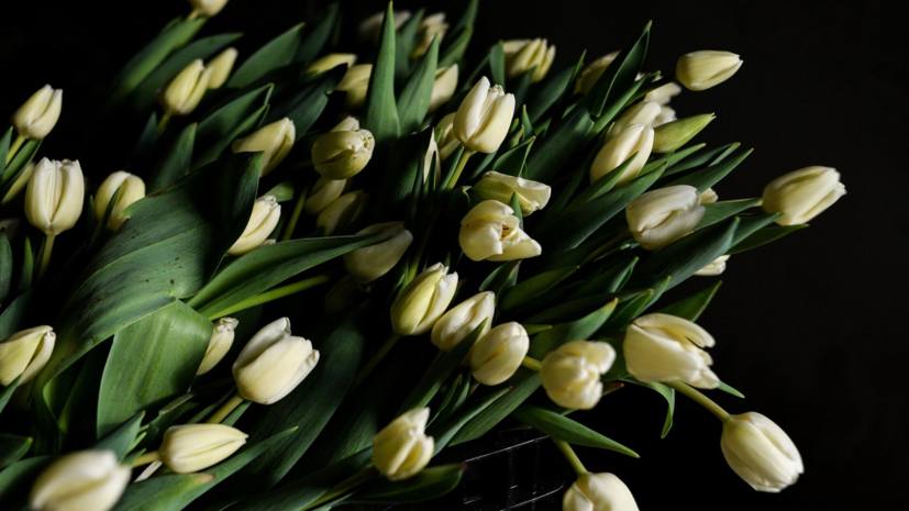 В Москве расцвели первые тюльпаны