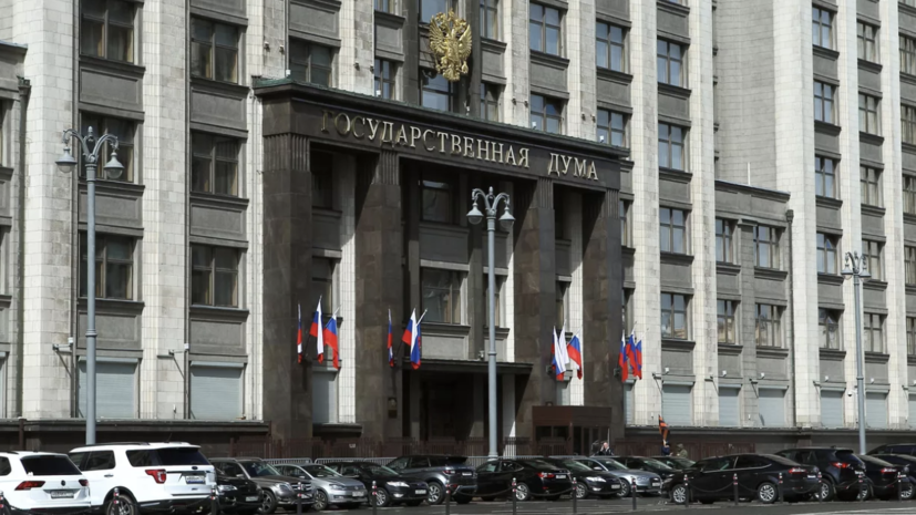 В ГД рассказали, чего ожидают от публикации реестра должников по алиментам