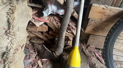 Источник: подозреваемая в убийстве детей в Красноярском крае признала вину