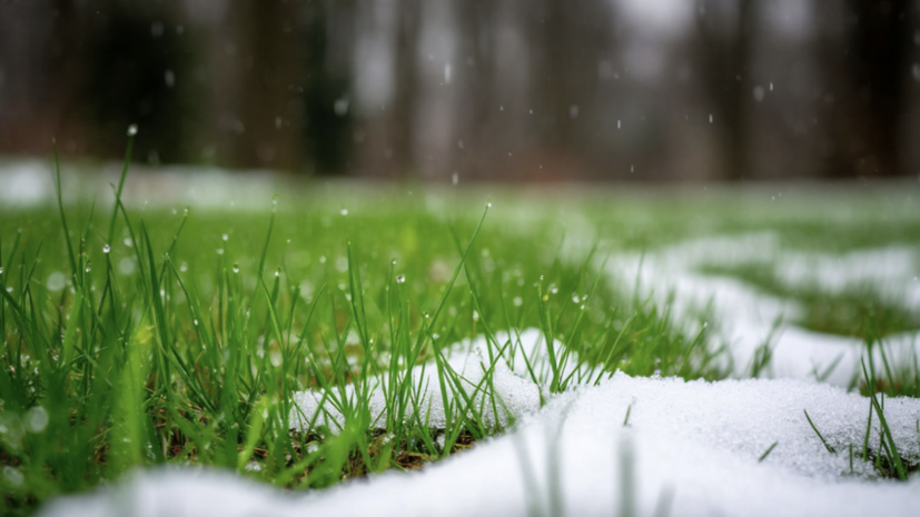 Синоптик Тишковец: снег в Москве растает к полудню субботы