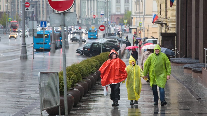Синоптик Тишковец: за ночь в Москве выпало 22% от всей нормы по осадкам мая