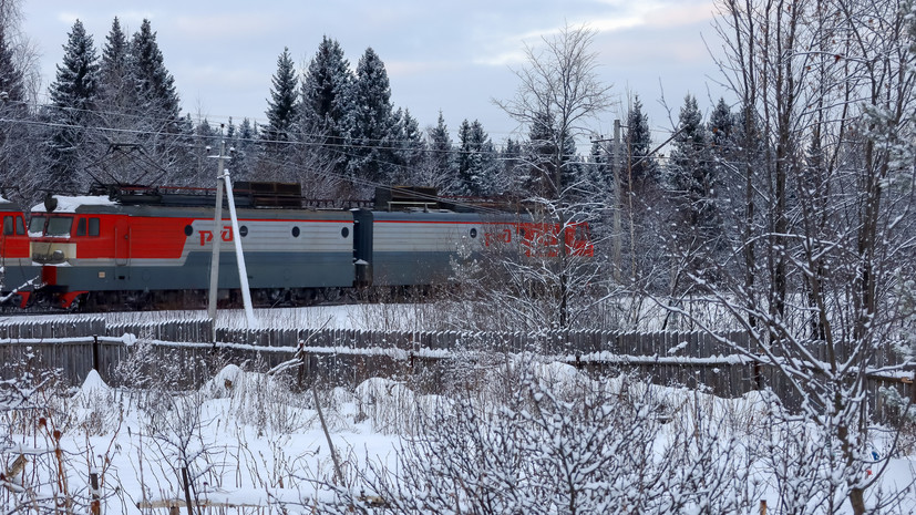 Семь поездов задерживаются из-за непогоды и поваленных деревьев в Подмосковье