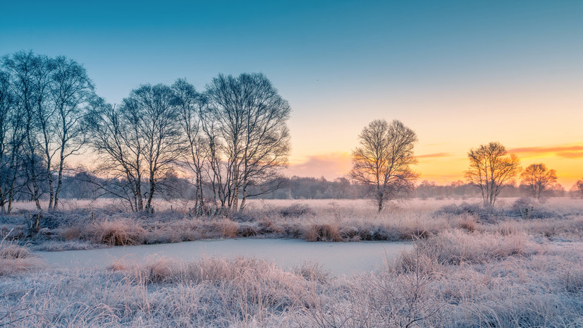 Синоптик Вильфанд спрогнозировал ночные заморозки на европейской части России