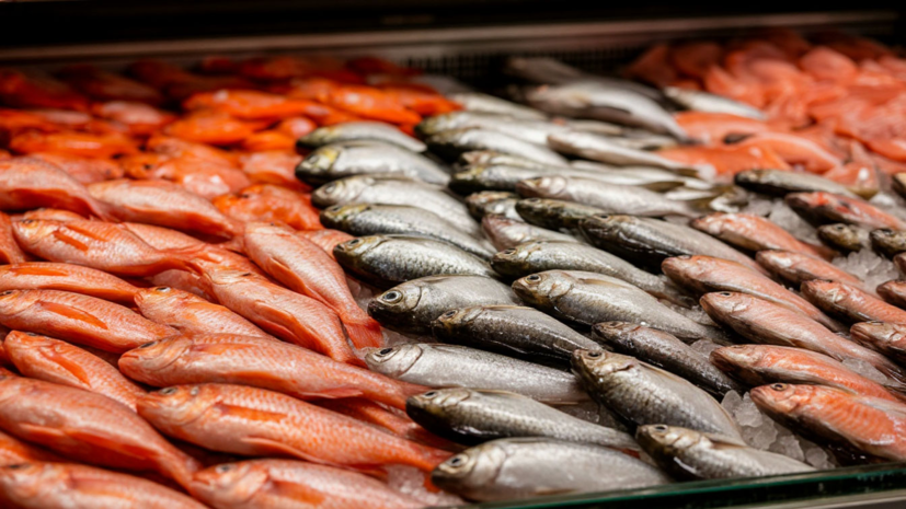 Архангельский траловый флот зафиксировал цены на рыбу