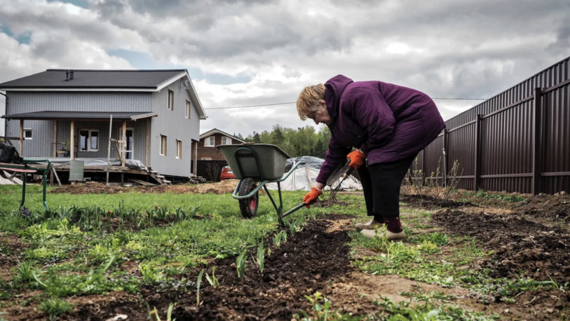 Врач Героева: обезопасить колени на огороде можно защитными накладками
