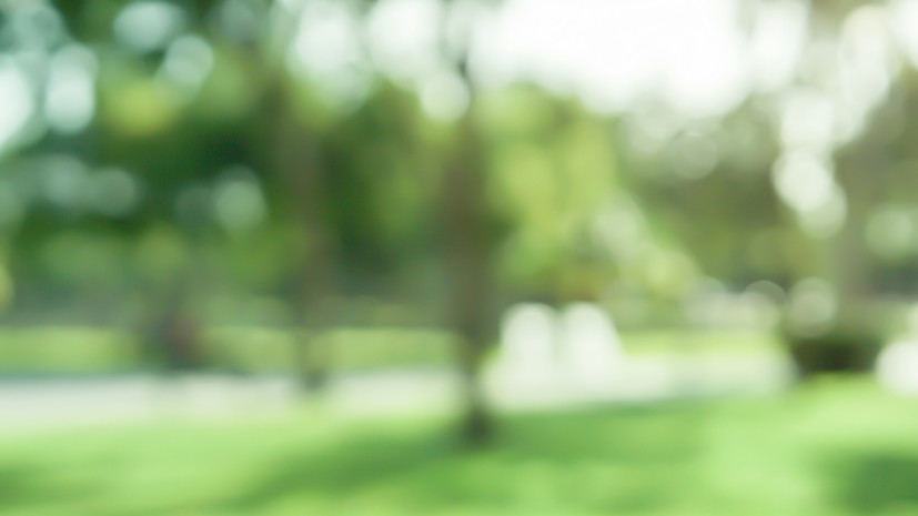 Зелёной территории в районе Зябликово присвоили название сквера Воинской Славы