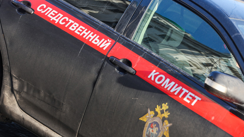 СК проверит выдачу гражданства родителям детей, осквернивших георгиевскую ленту
