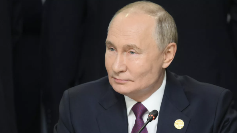 Нардеп Дмитрук сравнил заявление Путина с дзюдо