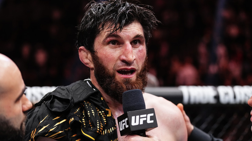 Анкалаев: мне предложили подраться с Перейрой на UFC 317