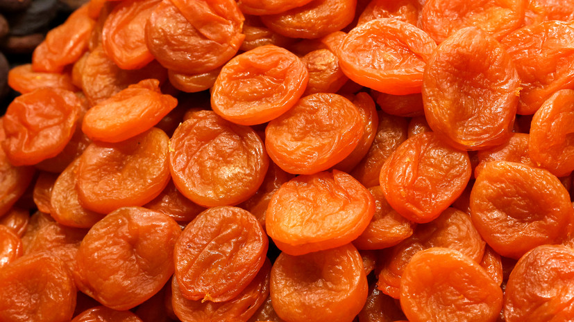 Диетолог Соломатина рассказала о пользе кураги для пожилых