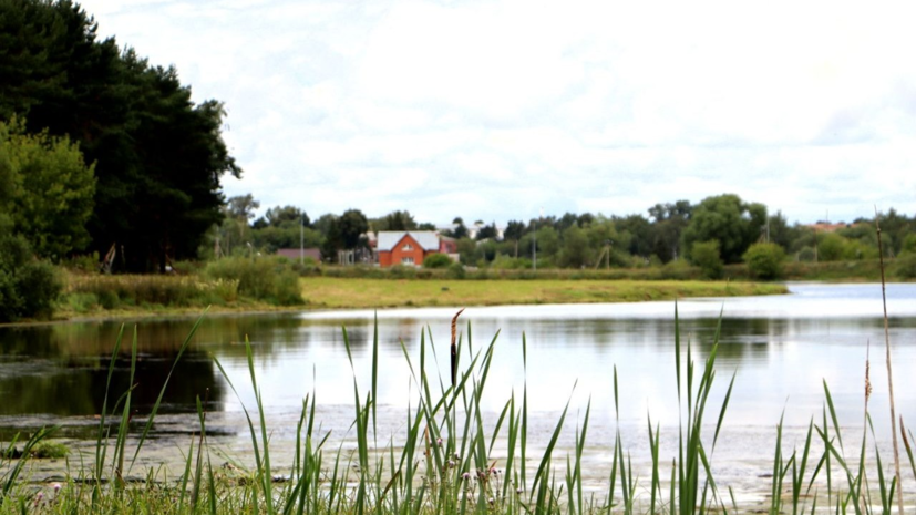 В Подмосковье расчистят ещё 20 водоёмов в 2025 году