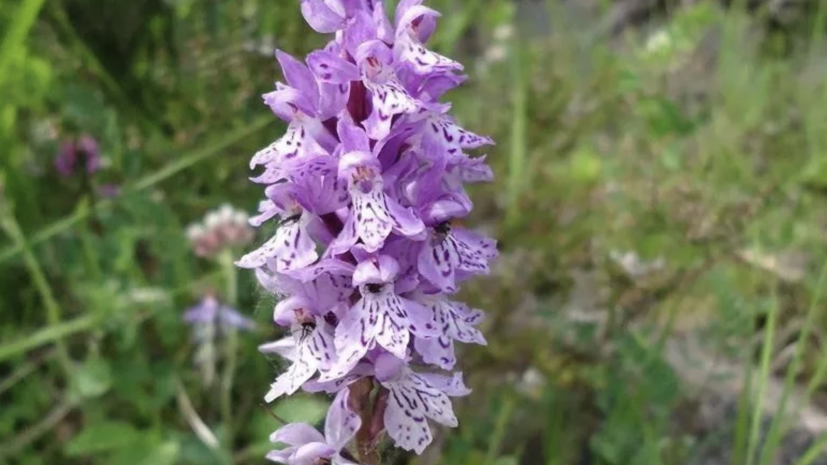 В Подмосковье установили охранную зону памятника природы «Истоки Москвы-реки»