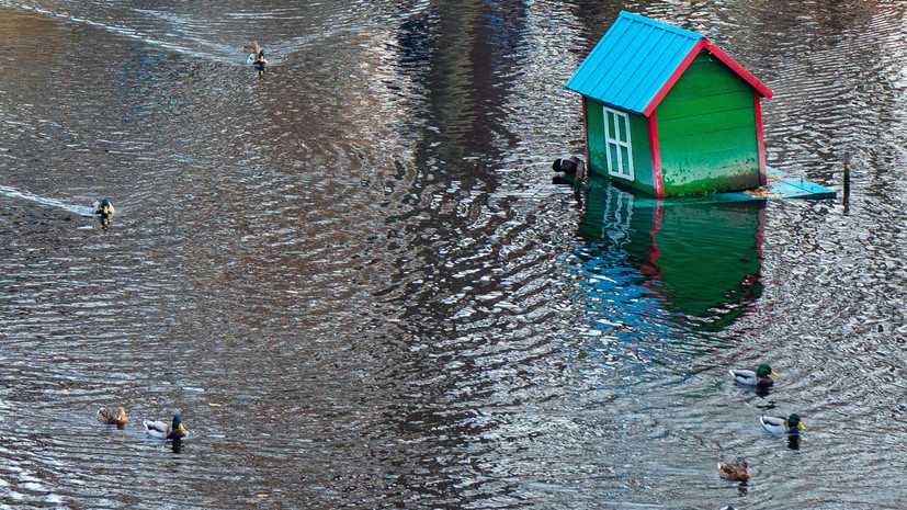 На московских прудах установят около 200 плавучих домиков для уток