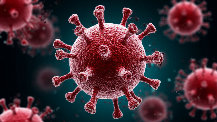 Вирусолог Чумаков рассказал, насколько опасна лихорадка Западного Нила