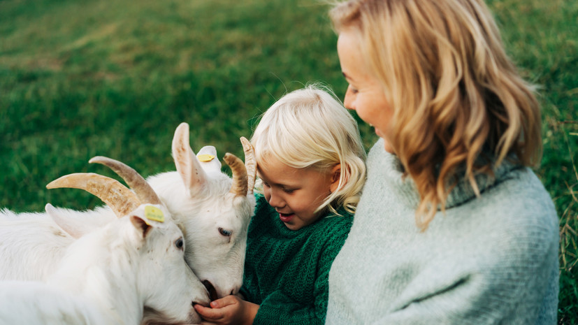 В Самарской области стартовал приём заявок на конкурс грантов «Агротуризм»