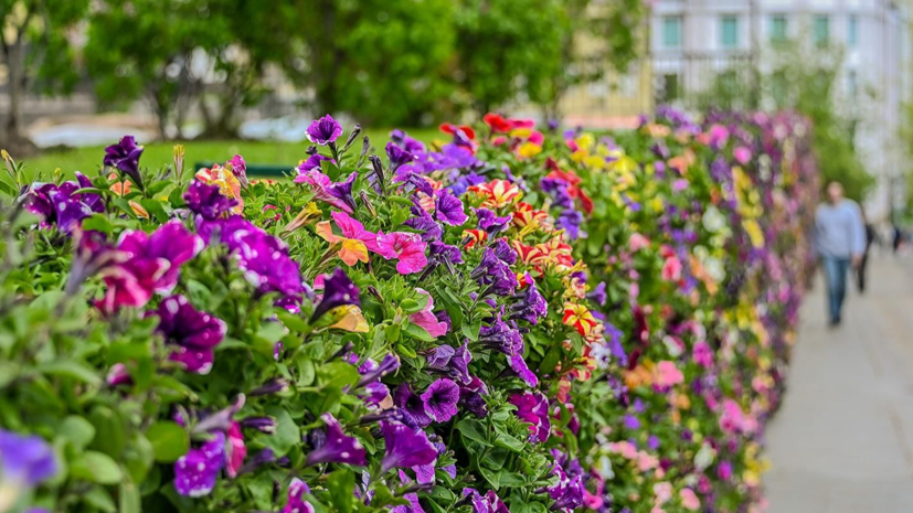 Ещё в трёх локациях Москвы появятся ландшафтные композиции в рамках фестиваля