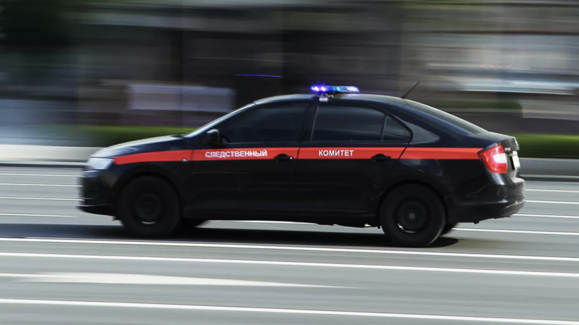 В Перми завели дело по факту нападения собак на восьмилетнего мальчика