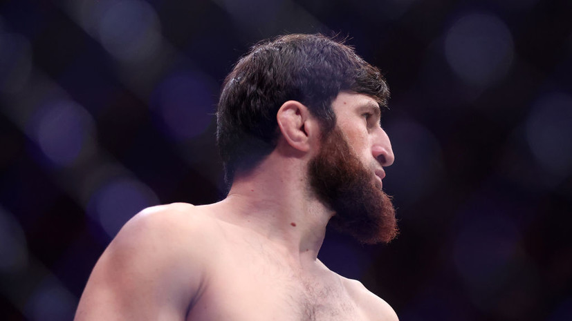 Анкалаев отреагировал на отказ Прохазки и Перейры от боя с ним