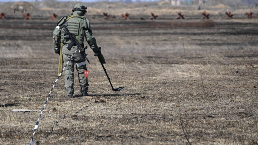 Сапёры ВС России обнаружили более 100 противотанковых мин из ФРГ в курском селе