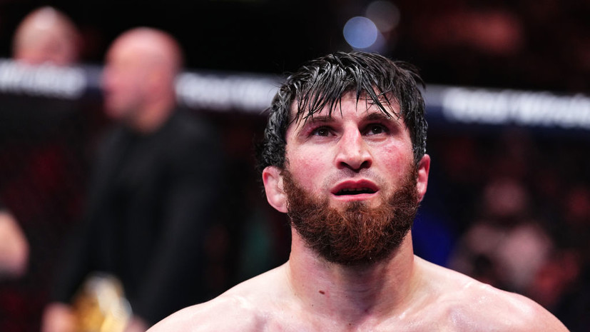 Гуськов: не вижу интриги в реванше Перейры и Анкалаева