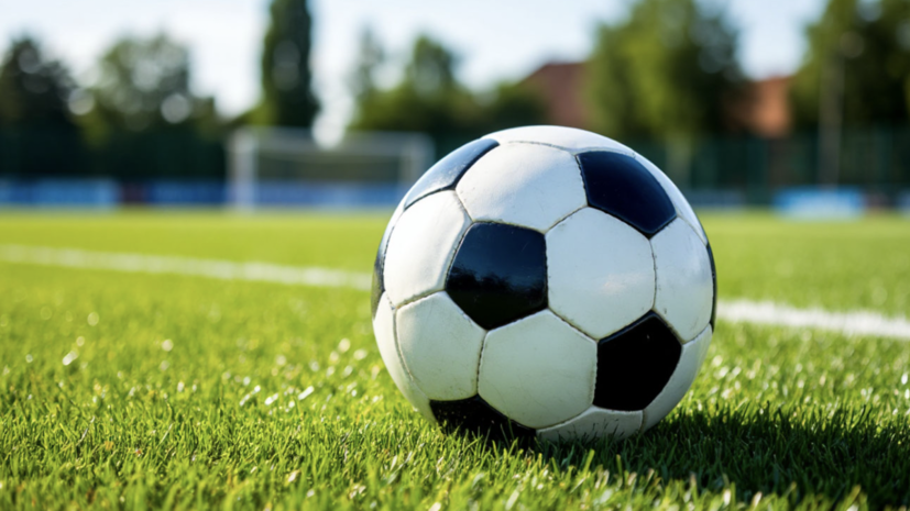 Мадагаскар надеется провести товарищеский матч с Россией в Москве