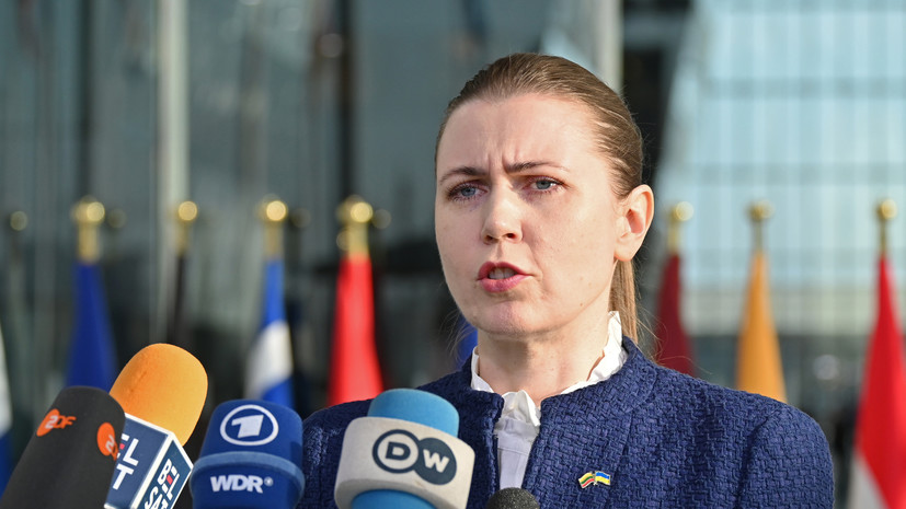 Министр обороны Литвы сравнила НАТО с «неблагополучной семьёй»