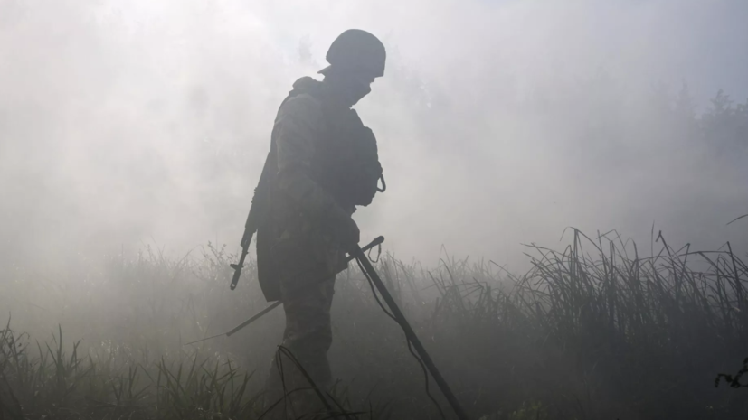 Более 38 тысяч га Курской области очистили от взрывоопасных предметов