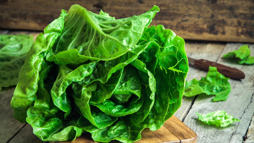 Диетолог Круглова посоветовала употреблять зелень для профилактики ожирения