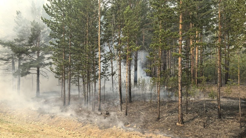 Ущерб от лесных пожаров в Забайкалье составил 459 млн рублей