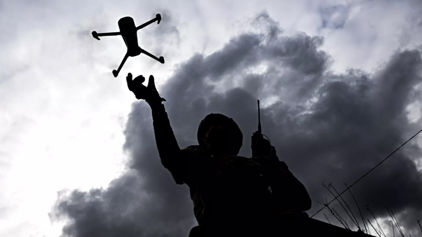 МО показало видео поражения беспилотников ВСУ FPV-дронами центра «Рубикон»