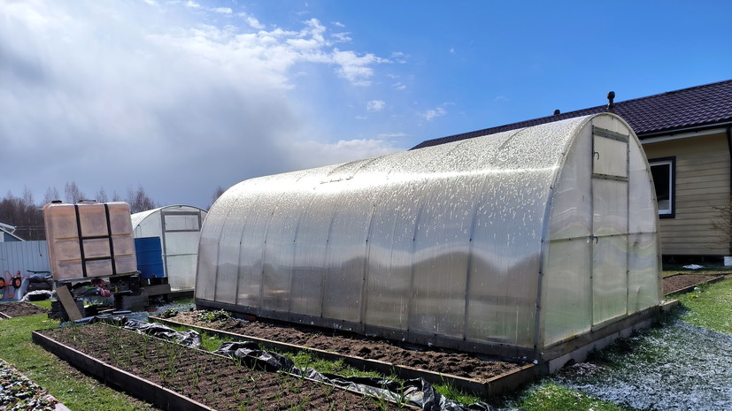 Агроном Воробьёв посоветовал накрывать теплицы полупрозрачным материалом в жару