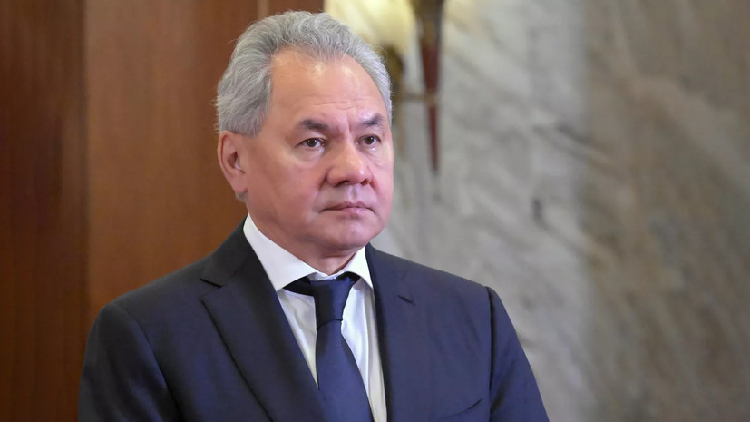 Шойгу назвал БРИКС лидером Глобального Юга и Востока
