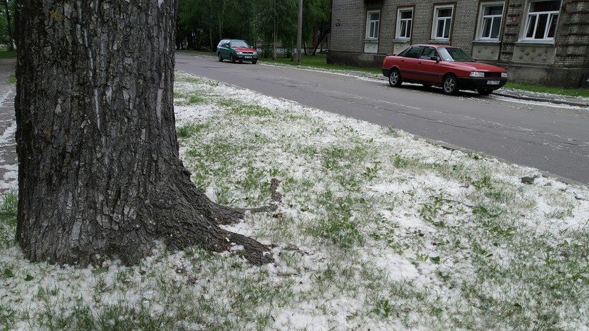 Биолог Комбарова: пух при попадании в глаза может травмировать слизистую оболочку