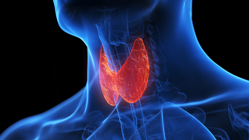 Эндокринолог Агаева: гипотиреоз долгое время может протекать незаметно