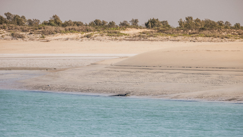 Подмосковные спасатели напомнили об опасности диких пляжей