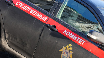 СК проверит выдачу гражданства родителям детей, осквернивших георгиевскую ленту