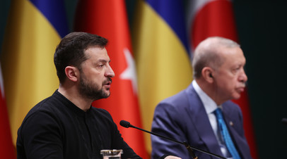Эрдоган сообщил о телефонном разговоре с Зеленским по урегулированию на Украине