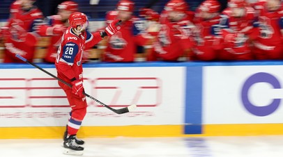 Мизулина выразила поддержку ярославскому Локомотиву в финале Кубка Гагарина