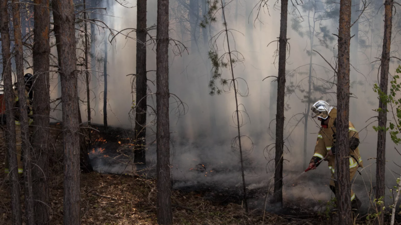 В Тюменской области особый пожарный режим продлён до 26 июня