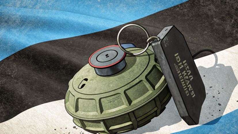 Эстония вышла из конвенции о запрете противопехотных мин