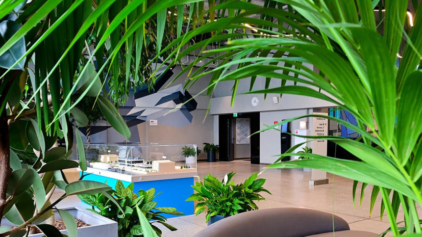 Экофестиваль состоится 7 июня на Южном речном вокзале в Москве