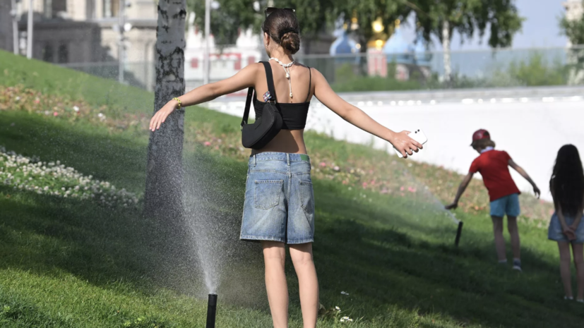Синоптик Ильин: в Москве в воскресенье воздух прогреется до +31 °C