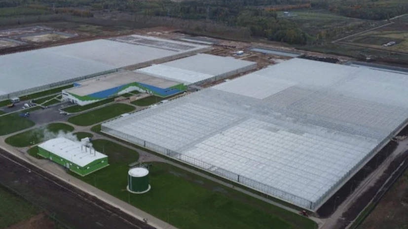 Более 700 рабочих мест создали в ОЭЗ Подмосковья с января по март